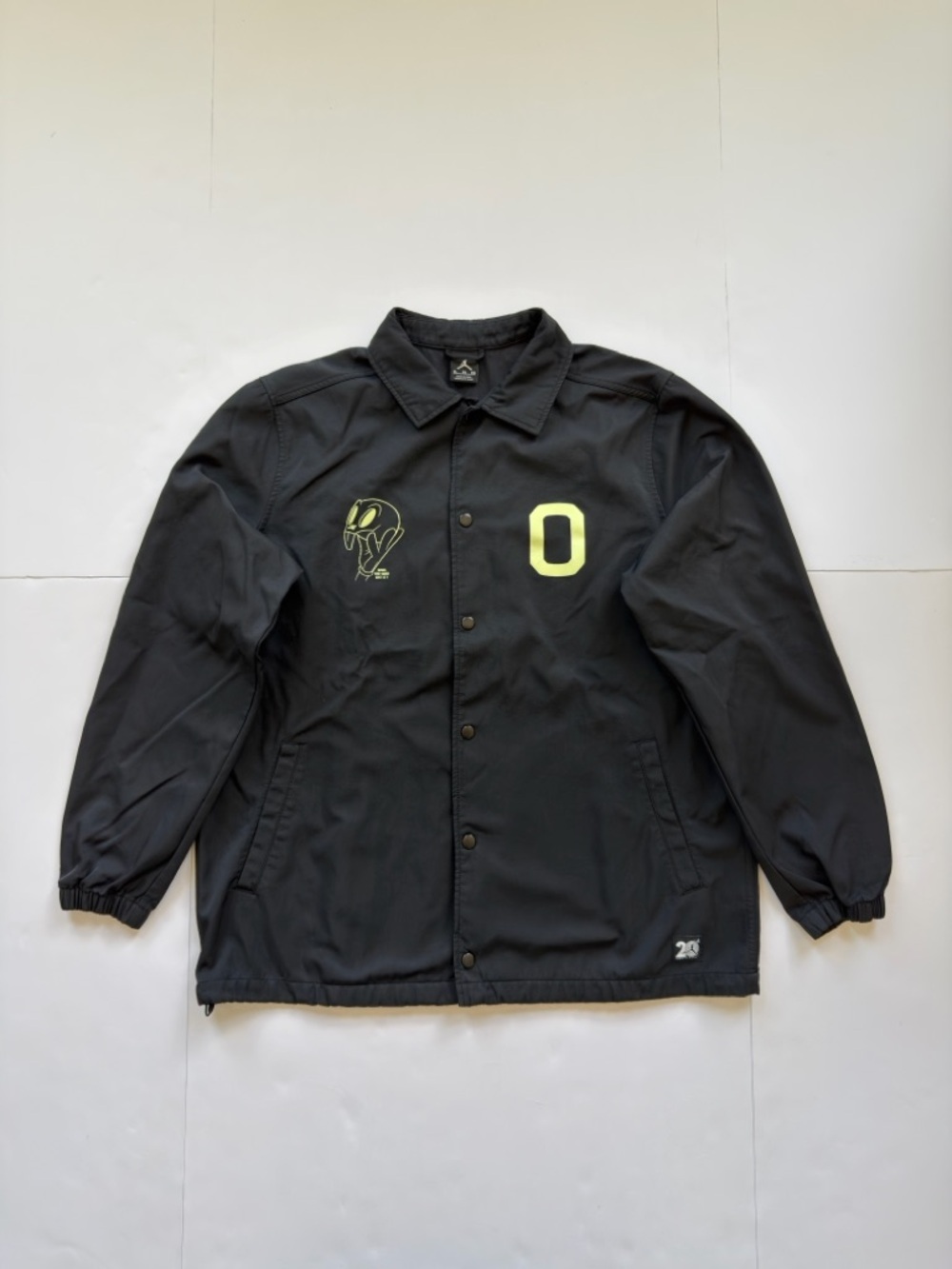 Nike Air Jordan Jacket Mens XL Space Jam 20th anniversary